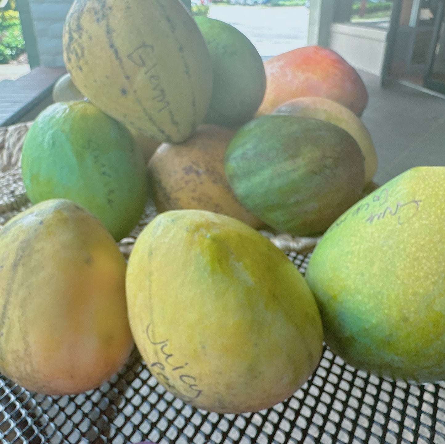 Mixed Variety Mango box