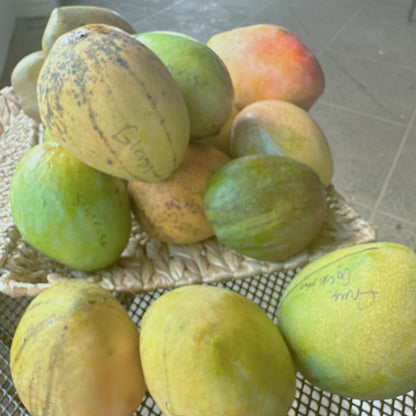 Mixed Variety Mango box