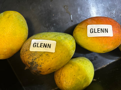 Glenn Mango box