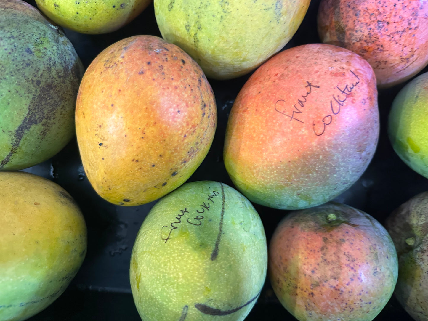 Fruit Cocktail Mango box