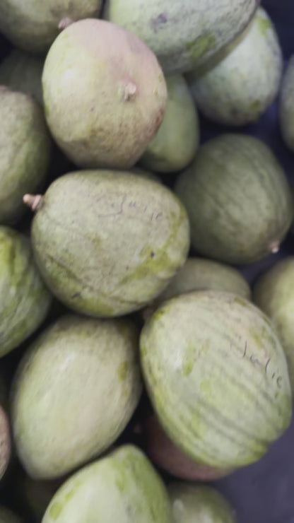 Glenn Mango box