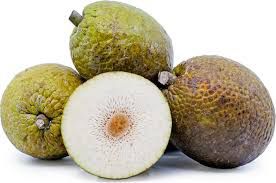 BREADFRUIT (fruit box) 10 breadfruit